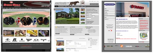 Access US St Louis Web Design Portfolio